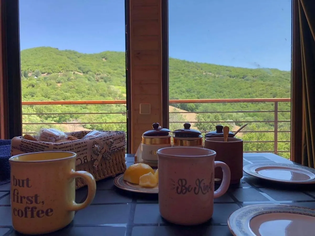 Cozy Cabin Βίλα Τυφλίδα