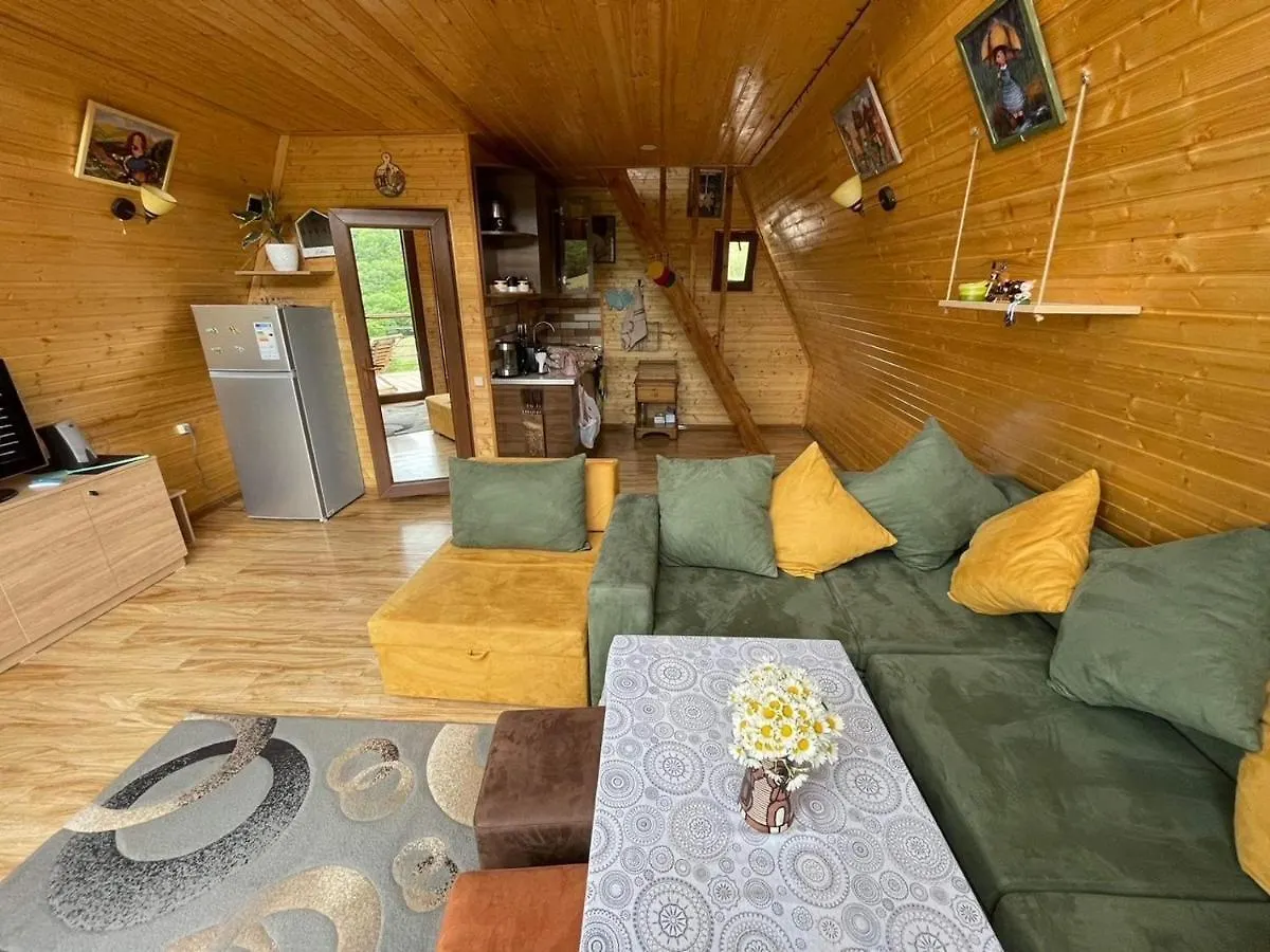 펜션 트빌리시 Cozy Cabin 빌라